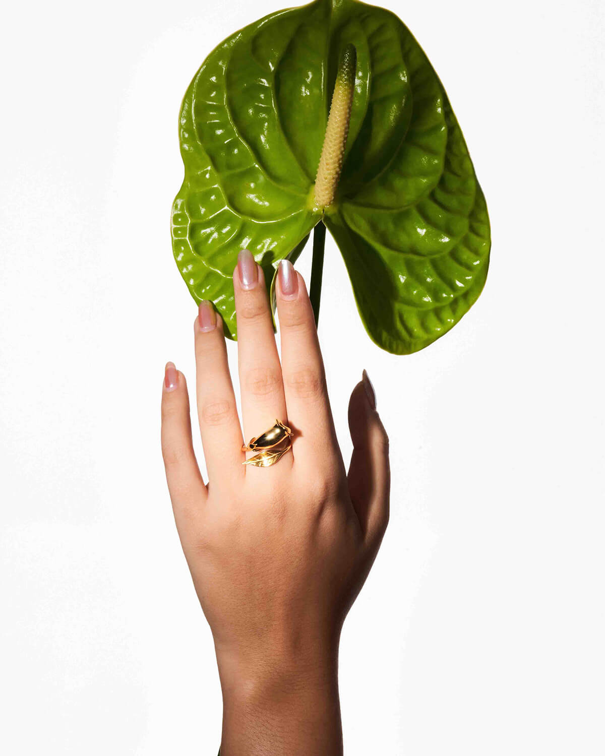 a woman's hand holding a large green leaf