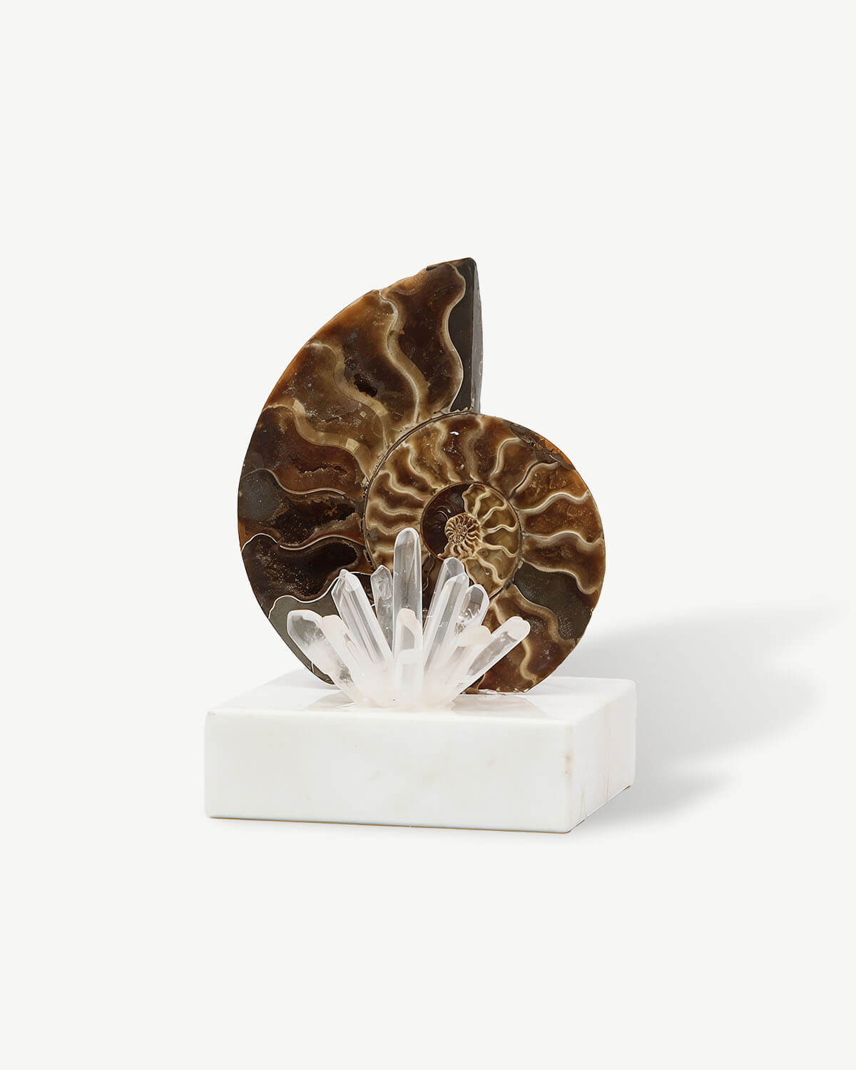 Conch Clear Quartz Home Decor