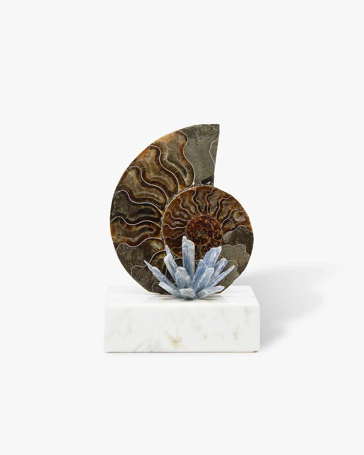 Conch Blue Kyanite Home Decor